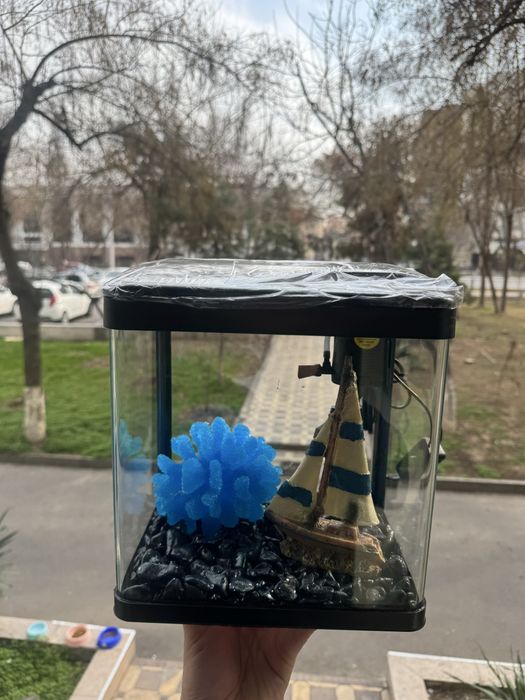 Akvarium siaftli va hamyonbob