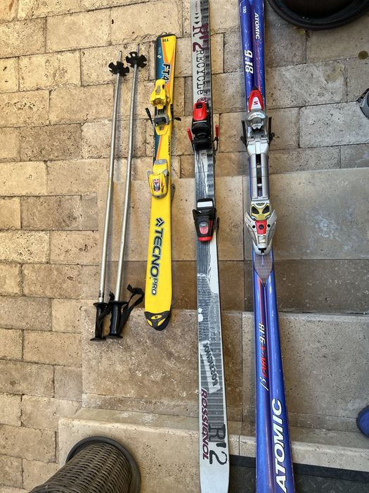 Schiuri adulti si copii