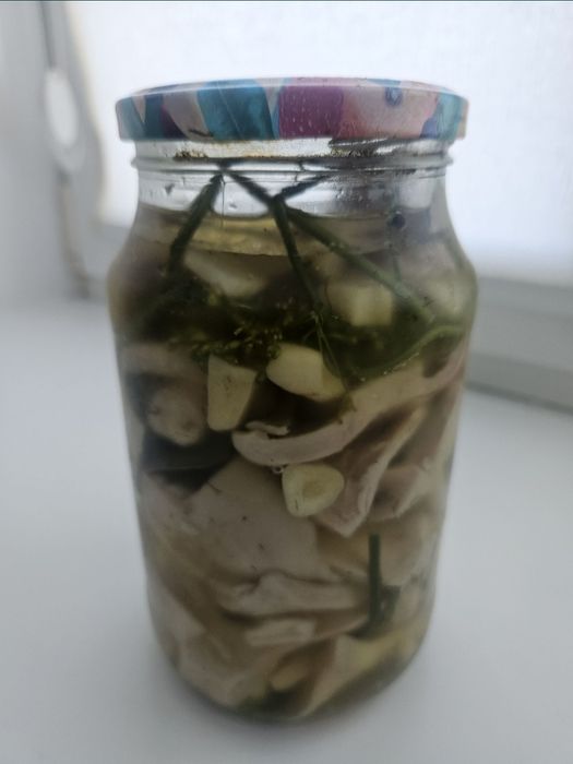 Продам  грузди, домашние.