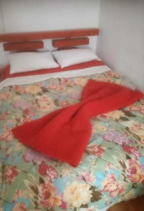 Apartament de inchiriat in regim hotelier/ PET FRIENDLY - Toplita