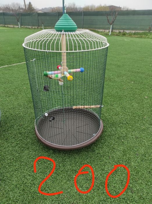 Vând cuști în Iași