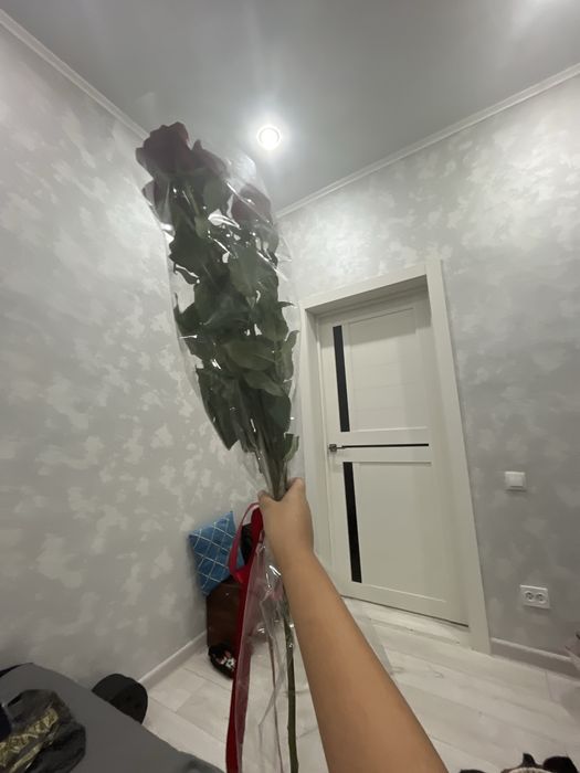Продается роза 5 шт