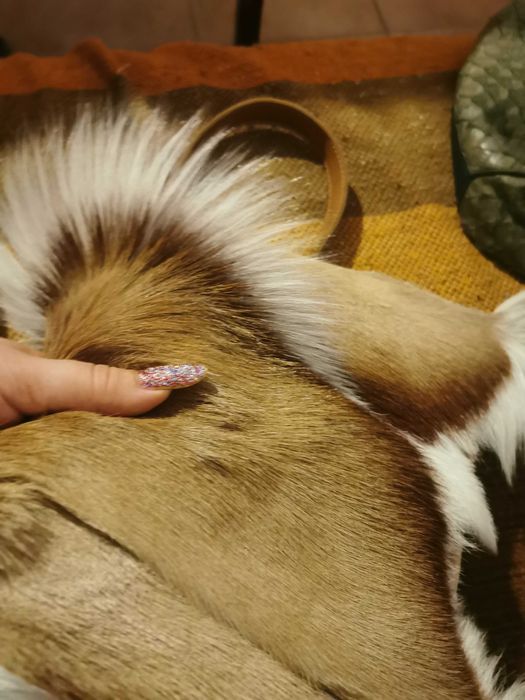 Geanta de umar medie, din piele și blana naturala