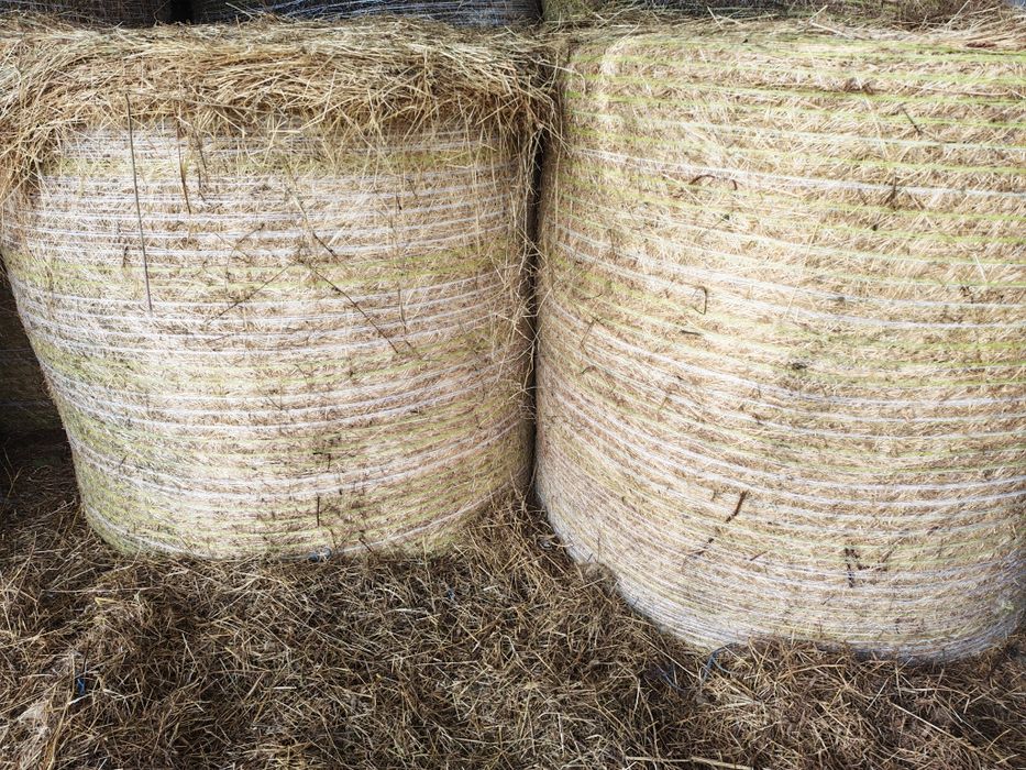 Baloți fân, lucernă