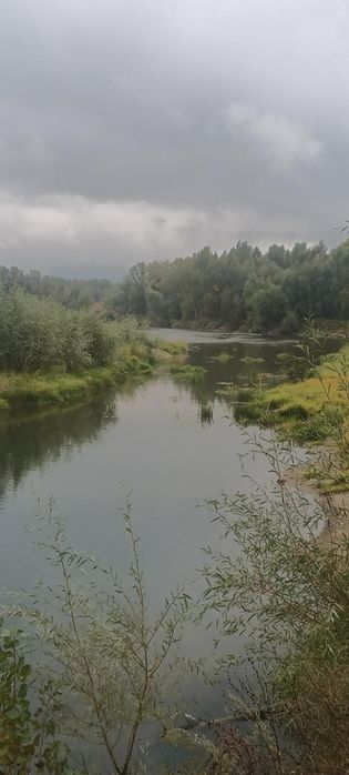 Домик в тарханке