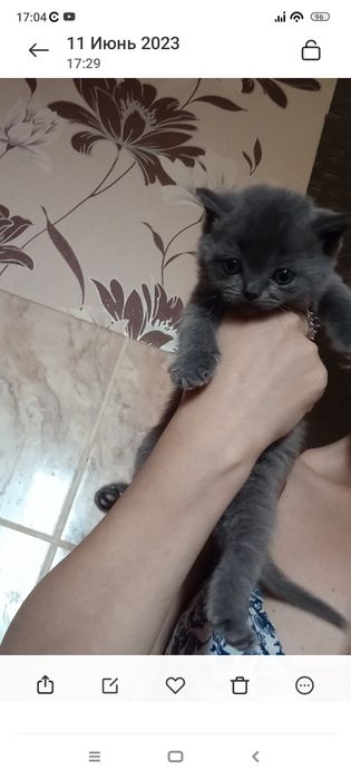 Страйт  1 месяц.Самостоятельные..