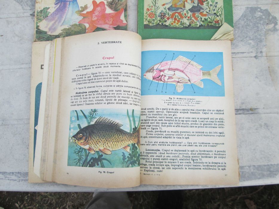 Manuale scolare vechi :mate, citire,  zoologie, etc din "78, "79
