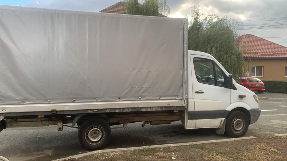 Mutari , debarasari Arad & Timișoara