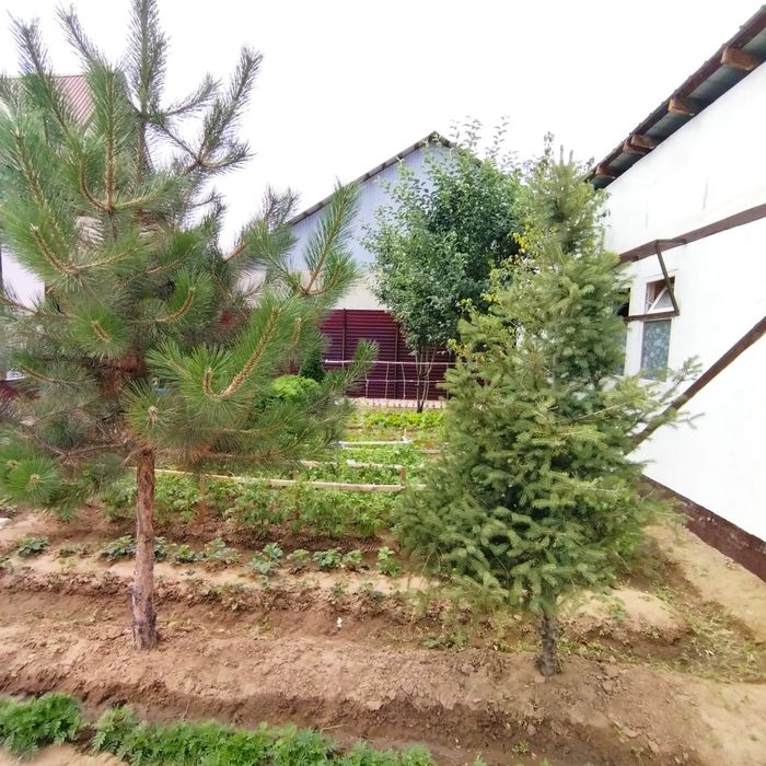 Дом продолжается 2 этажный!