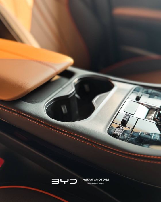 Song Plus Champion (PHEV)