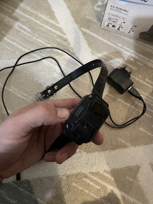 Ошейник для собак