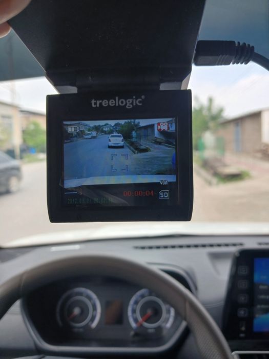 Видоригстратор треелогс