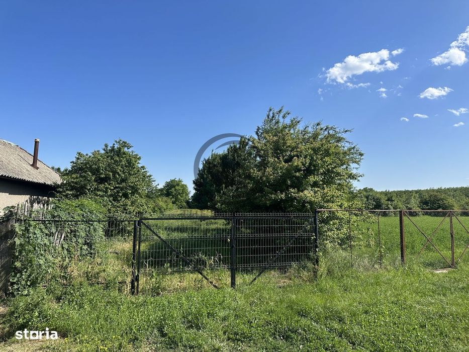 Teren intravilan de vanzare | 11.000 mp | Ghirdoveni | Comision 0%