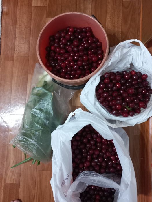 Продам дачу с домиком в районе Кривое озеро