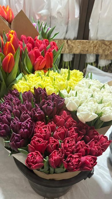 Тюльпаны оптом Астана