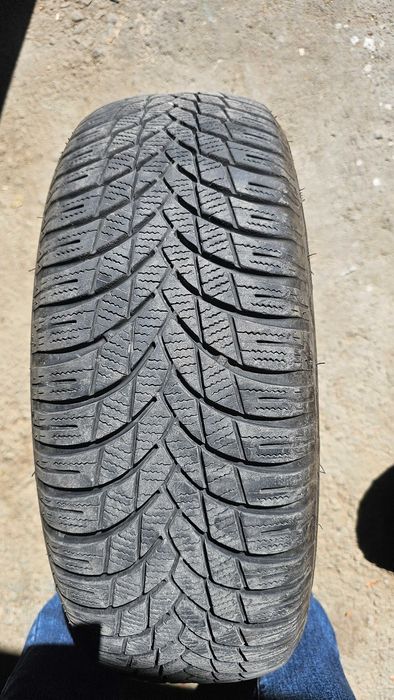 Балоны ласа r 14