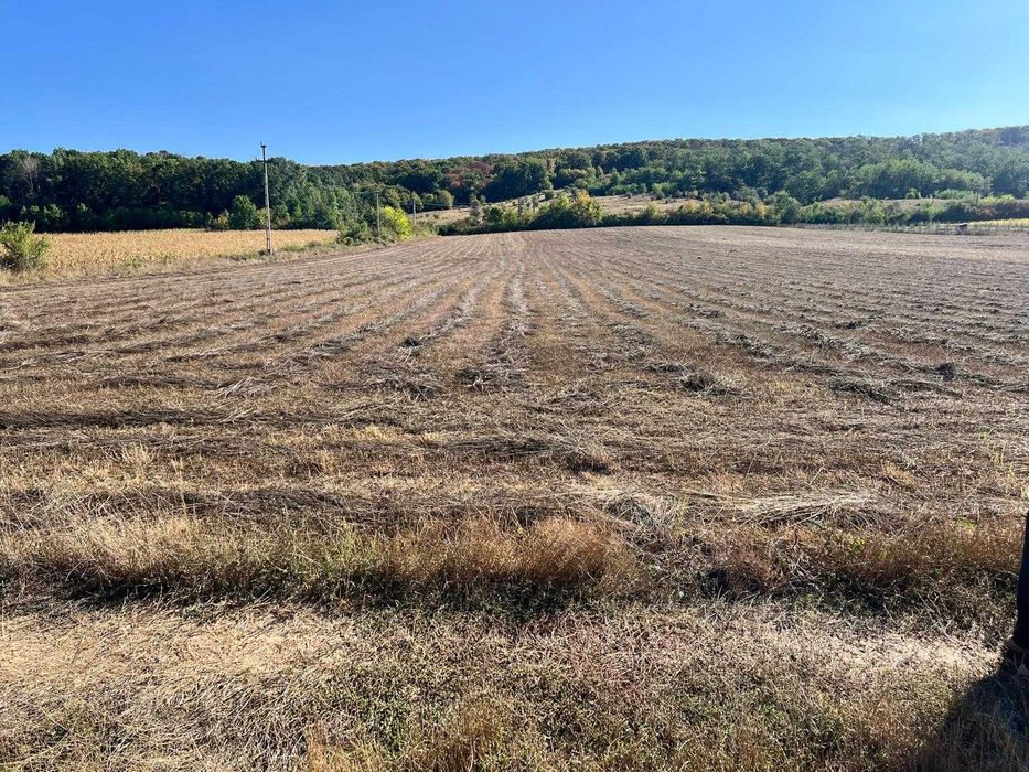 Teren de vanzare - Comuna Podenii Noi