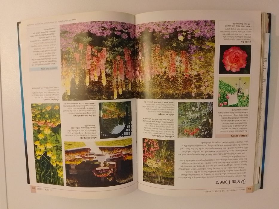 VIND Manual de Fotografie