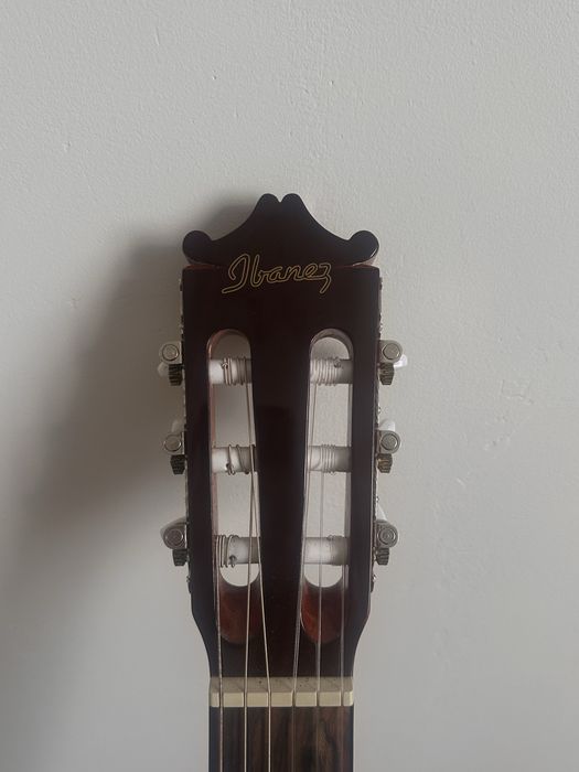 Классическая Гитара Salvador Ibanez