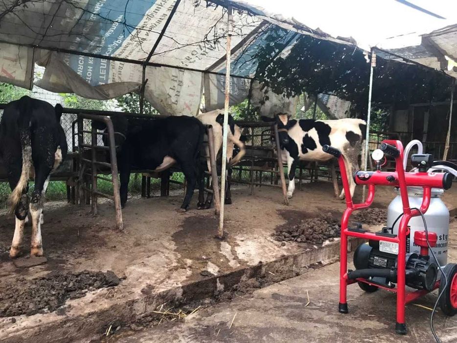 Sut sog'ish apparati 1 talik, sut sog'adigan apparat, doilniy apparat