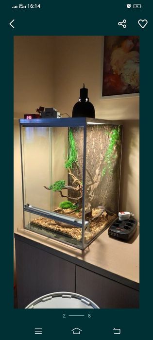 Аквариумы и террариумы