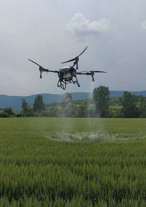 Пръскане с дрон.