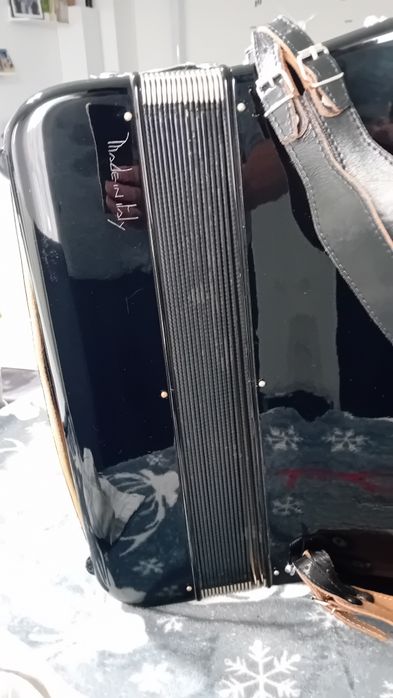 Vind Acordeon Italian Gaudini