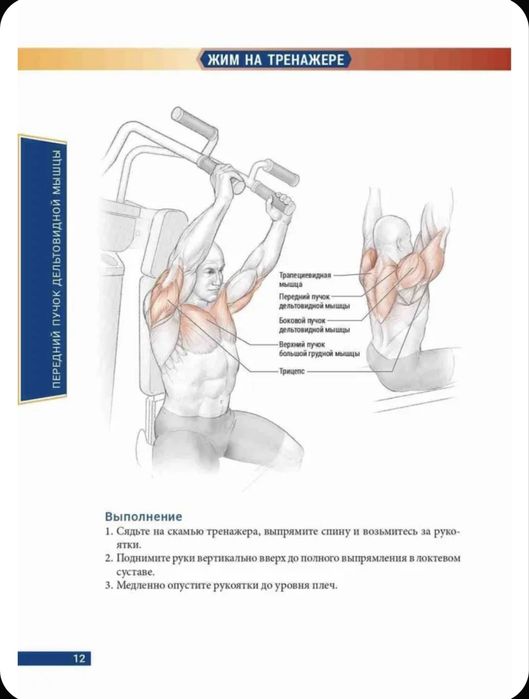 Анатомия бодибилдинга | Ник Эванс