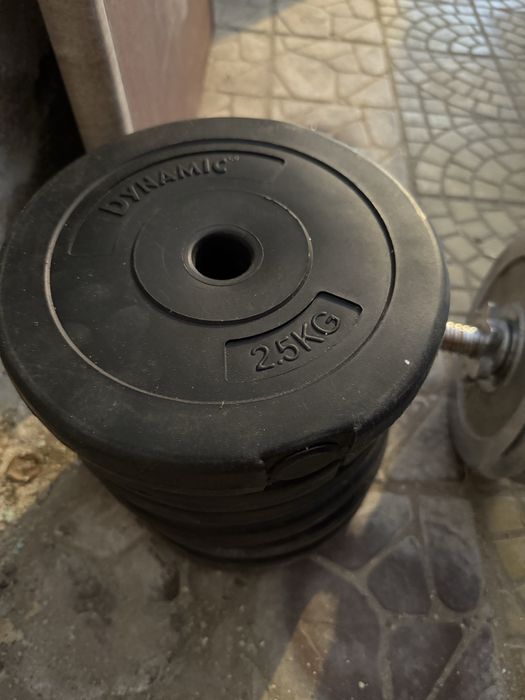 Gantera 33kg discuri