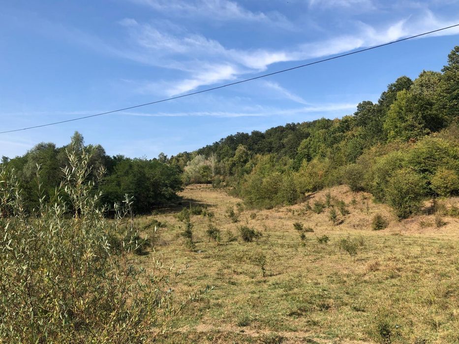 Teren 30.000 mp superb cu proiect pt fonduri PTJ