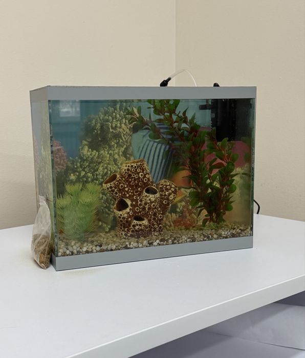 Продам аквариум