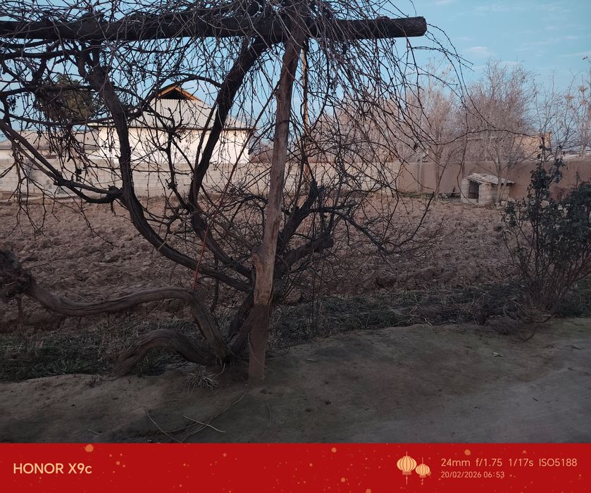 Surxondaryo Viloyati  Jarqo‘rg‘on tumani, Ob-hayot mahallasi
1