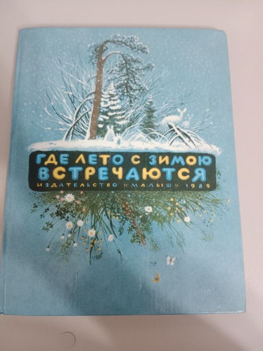 Книга где лето с зимою встречаются в идеальном состоянии