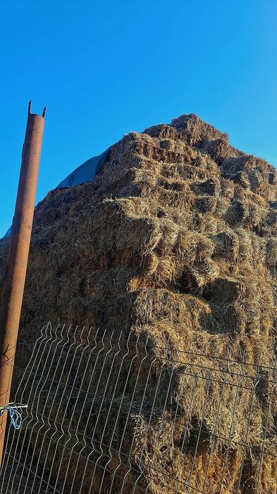 Vând baloți de paie!