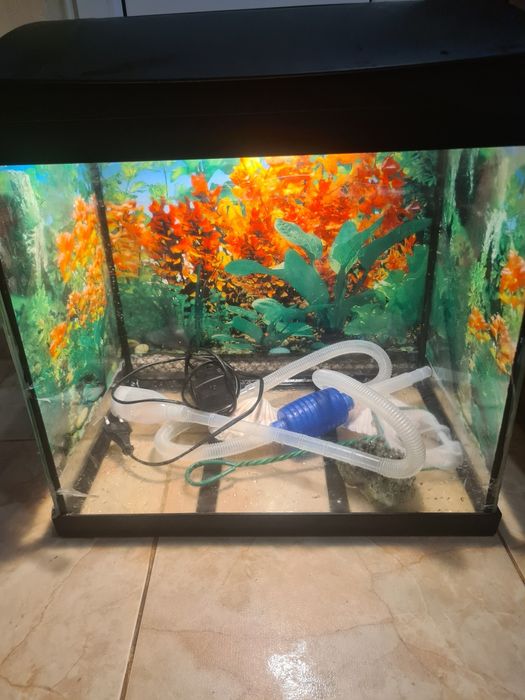 Аквариум в добро състояние