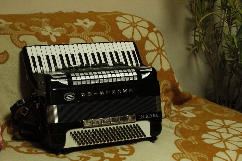 Vand acordeon Excelsior model profi