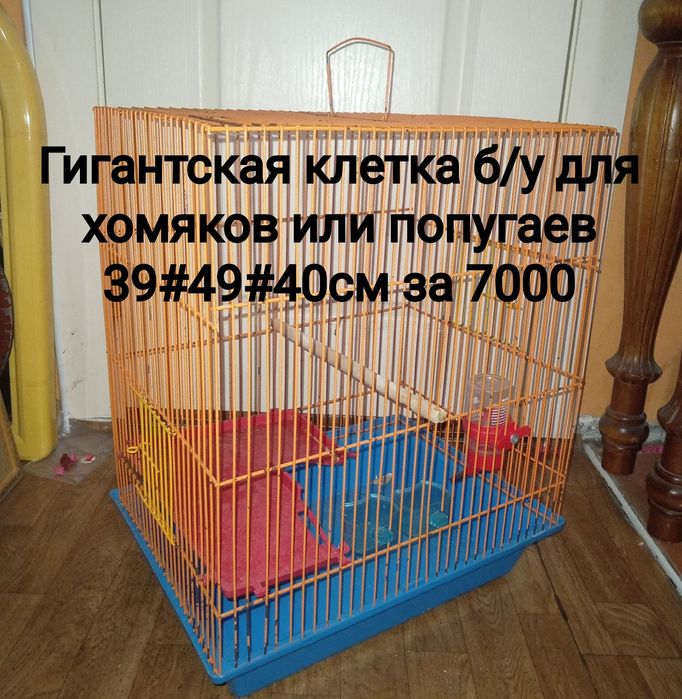Клетки для попугаев или хомяков