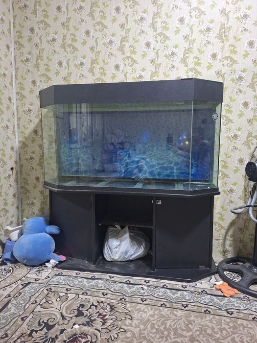 Аквариум  срочно