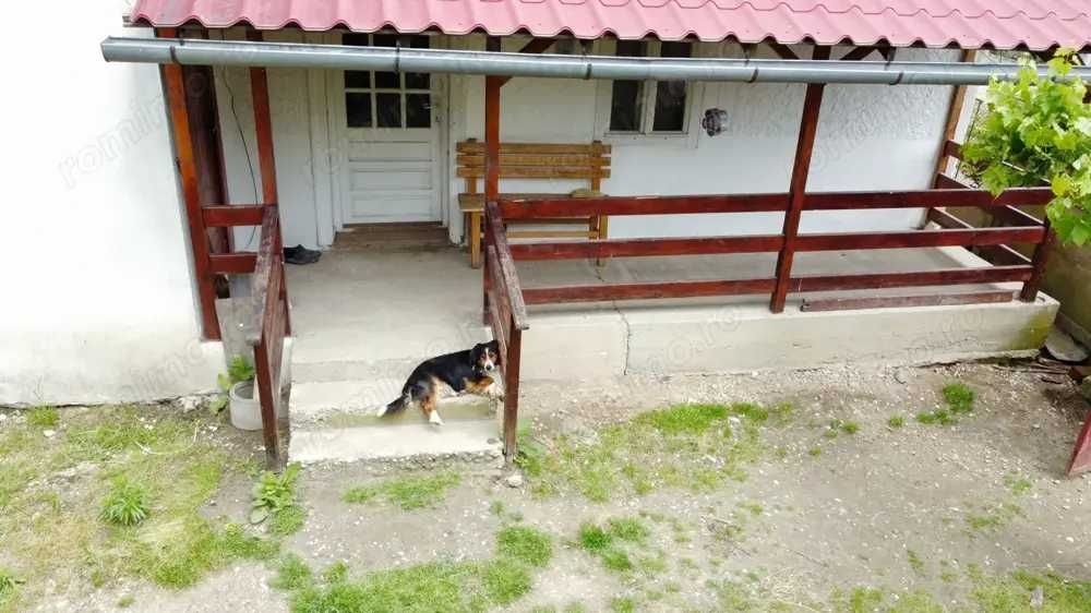 Casă în Coșteiu, teren 1500 mp, la pret de apartament in Lugoj