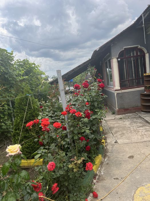 Casă de vânzare Com. Comana Giurgiu