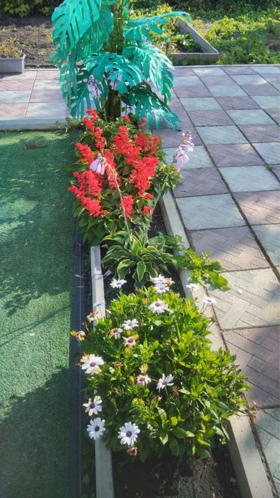 Дача ,дачное общество "Ракета»