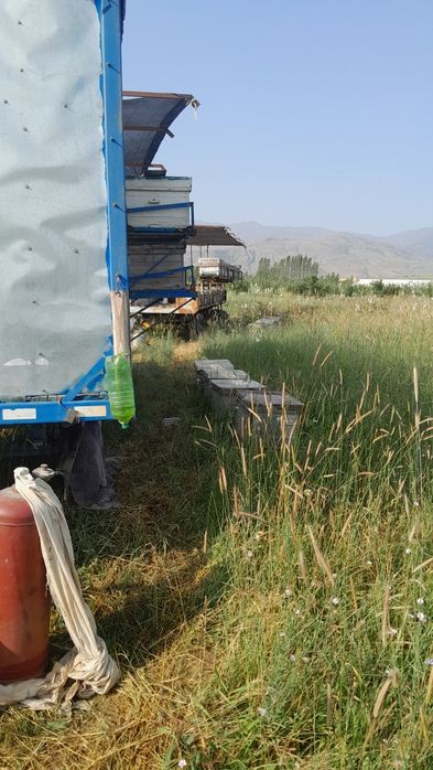 Pavilion sz xoxlagandek