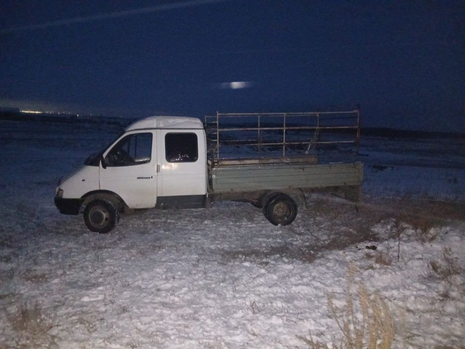 Грузоперевозки город межгород. Перевозка КРС.