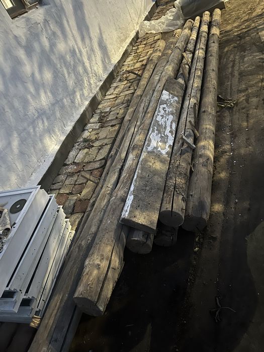 Тастама круглаяя