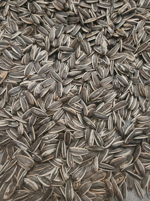 Семечки не обжаренные