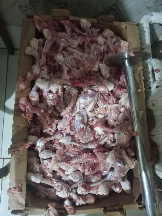 Кости куриний, бесплатно