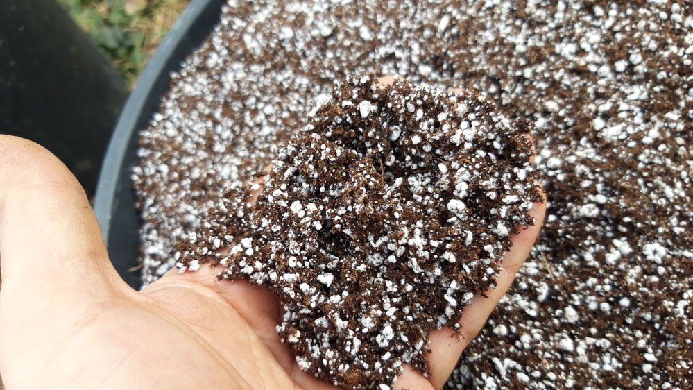 Turba perlitica ( turba extra fina si perlit ) Voluntari • OLX.ro