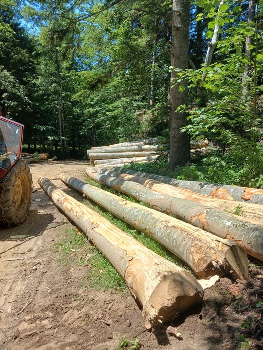 Vand bustean gater fag