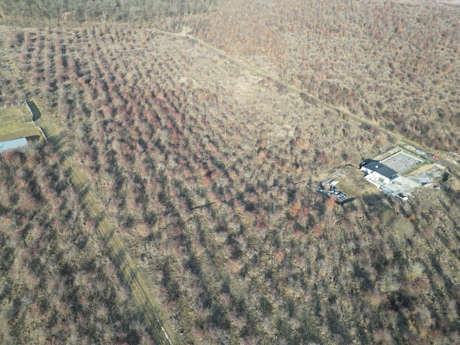 Teren de vanzare, Livezeni extravilan