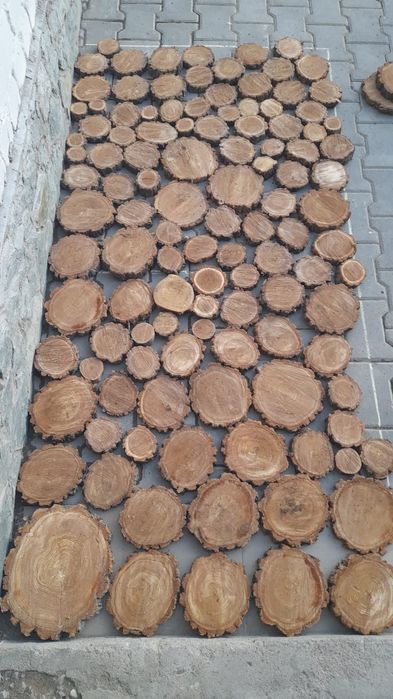 Спил дерево  для декора